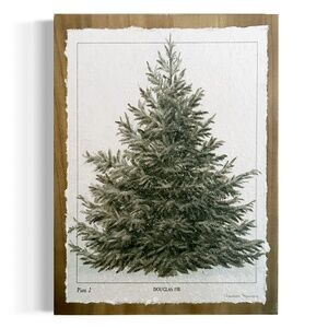 Vintage Evergreen Tree print picture on wood wall hanging
